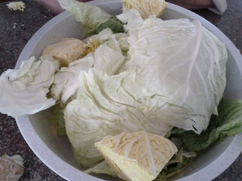 Shred the cabbage