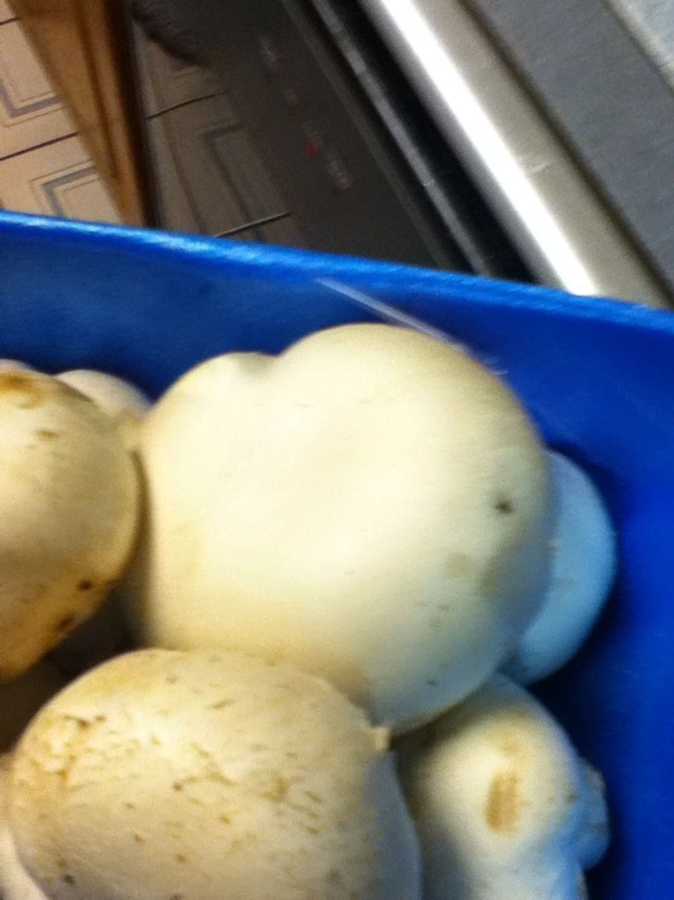 Shrooms! Slice some if these delicious beasts up.