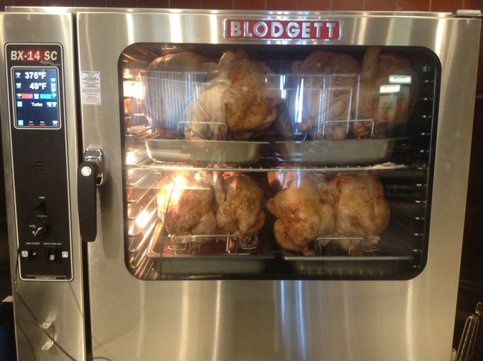 Shut door Press start