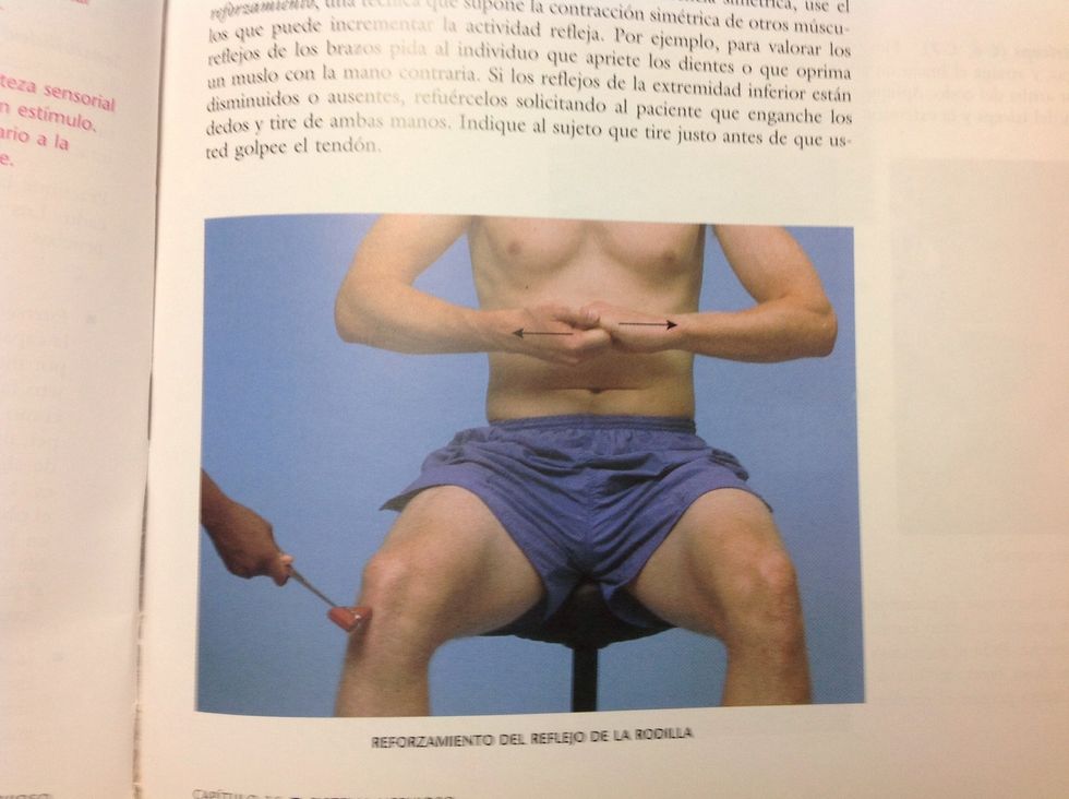 Si los reflejos del paciente est\u00e1n disminuidos o ausentes se debe hacer uso del reforzamiento,que supone la contracci\u00f3n sim\u00e9trica de otros m\u00fasculos para aumentar la actividad refleja