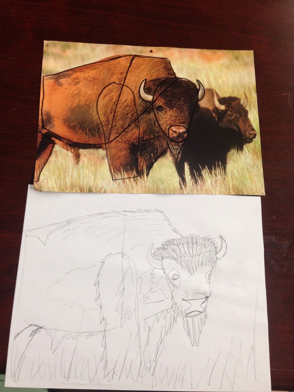 Side by side.. Drawing a buffalo with just shapes. You can recreate any animal or person if you can break it down into simplified shapes.
