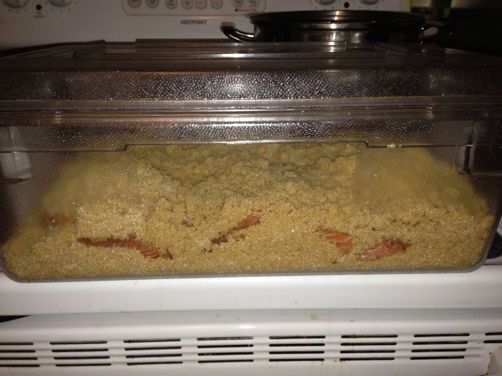 Side view of the salmon and brine mix. Put your filled container into the refrigerator and leave there at least 4 hours but I leave it in overnight (7 hours in this case).