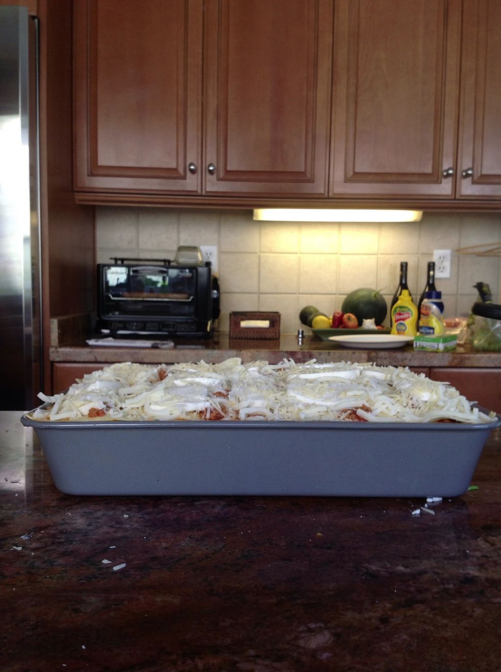 Side view. This Lasagna will weigh about 20 pounds. The weight will amaze you.