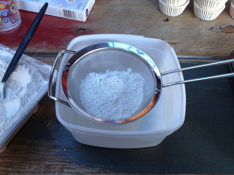 Sift some plaster powder into an empty plastic container. This is a bit of a messy process, try not to inhale the plaster dust. Especially if you're using builder's plaster, that stuff is nasty.