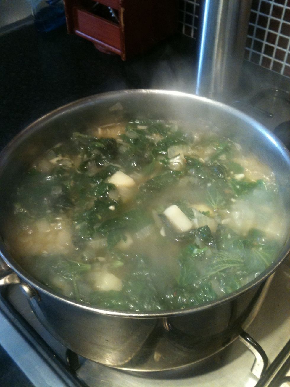Simmer the soup for 20 mins. Stirring occasionally.