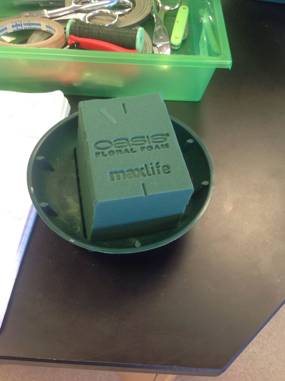 Sink oasis and press into a standard round dish