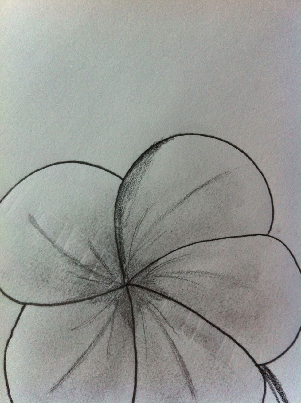 Sketch a curve on the "back" of all the pedals