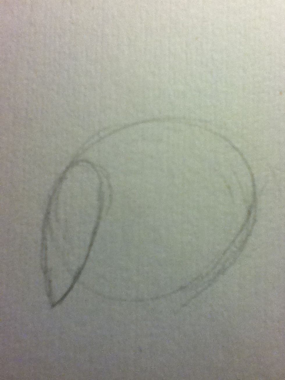 Sketch a wing