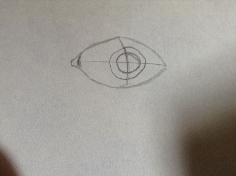 Sketch the red thingy in the corner of the eye!!