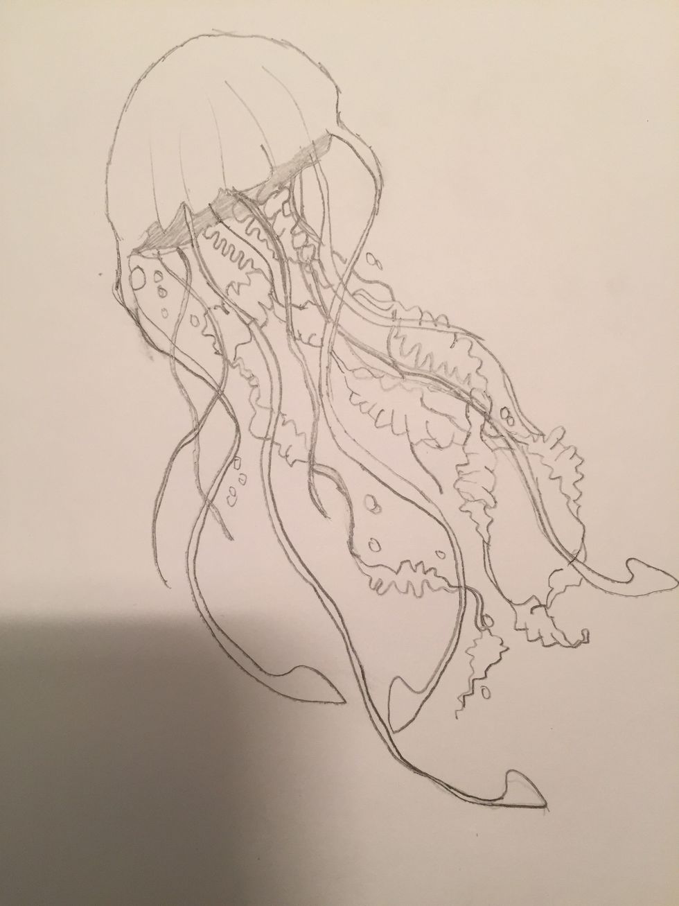 Sketch your subject in pencil. Make sure not to make it too dark, but you should be able to see it clearly.