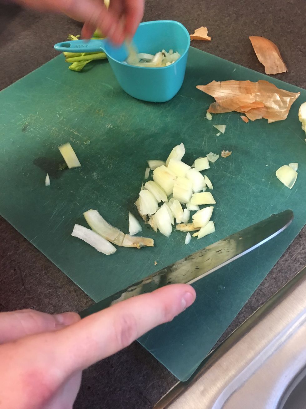 Slice and dice onion