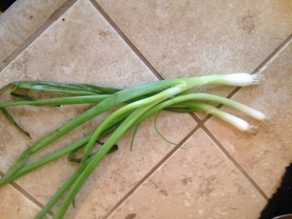 Slice green onions.