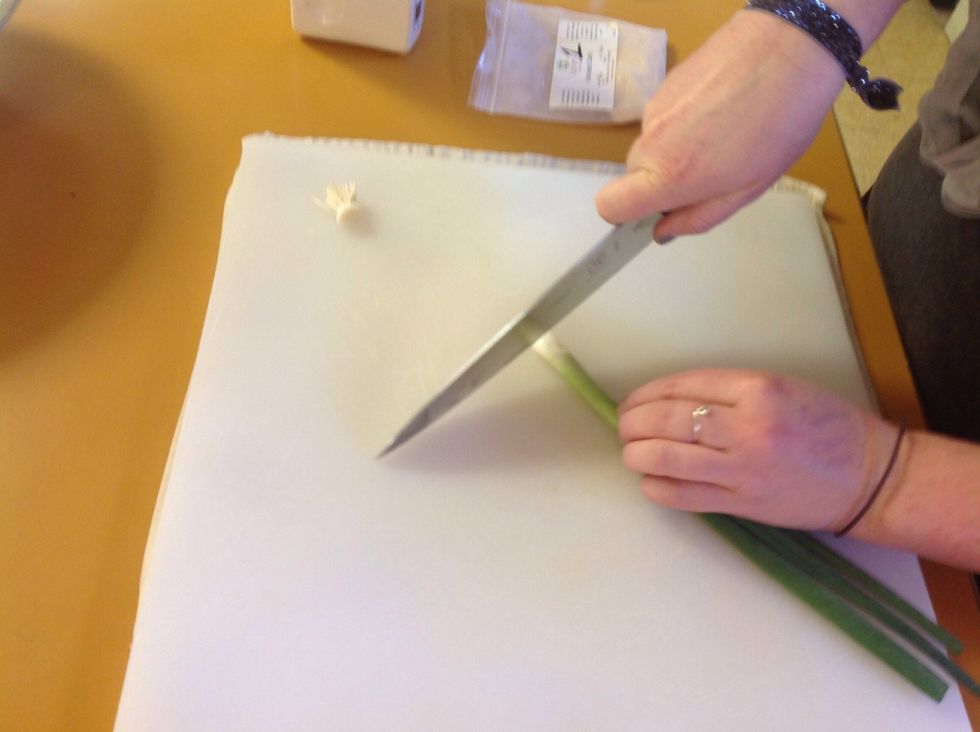 Slice the 1 green onion for the center of the meatballs. All of the green and white part of the onion will go in.