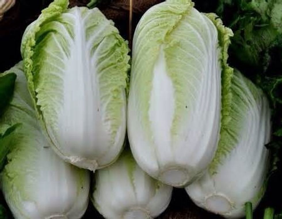 Slice the napa cabbage into thin ribbons across the top. Cut out the core and discard the core