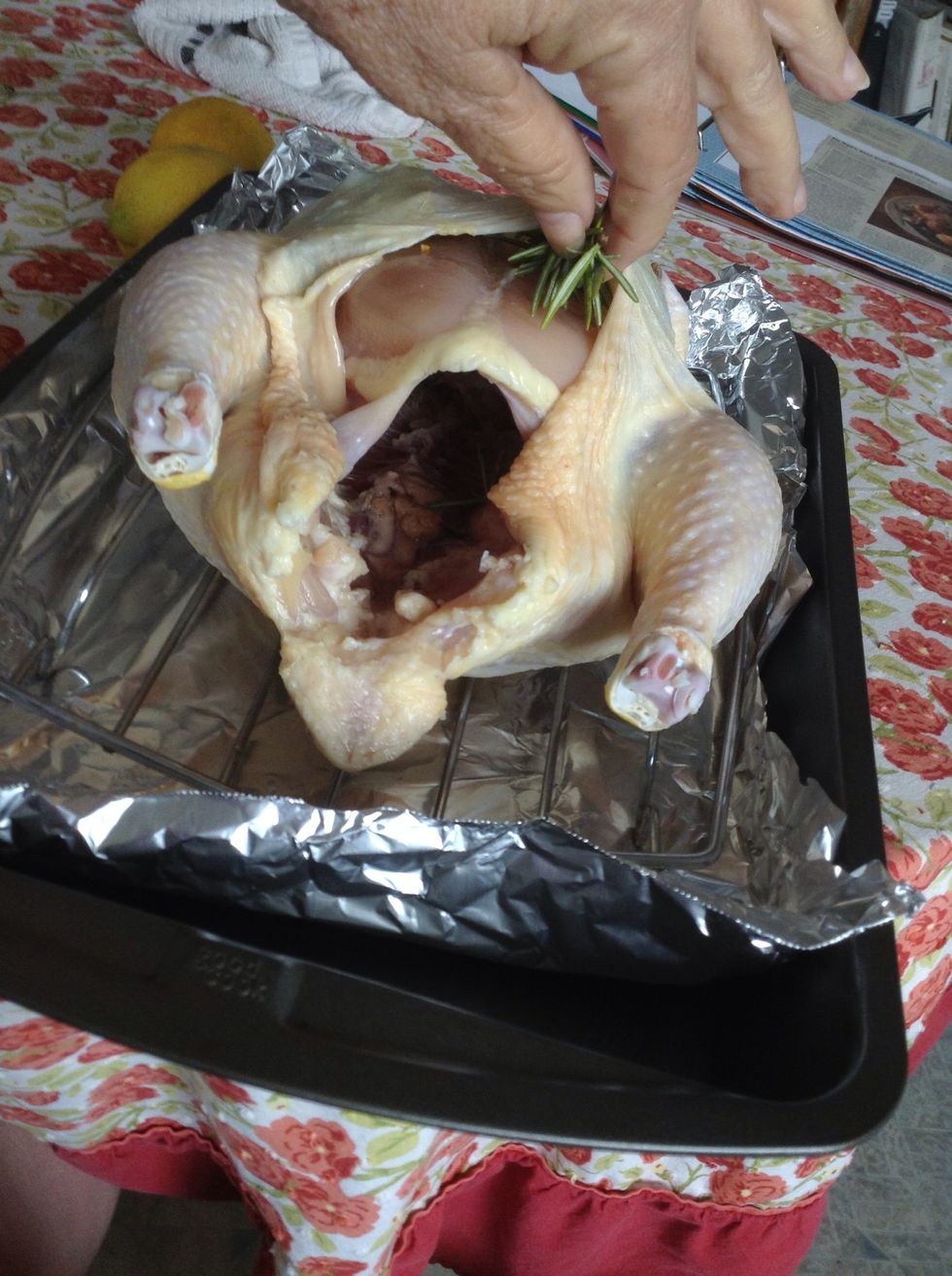 Slide your sprigs of fresh rosemary and slices of fresh garlic under the skin of the chicken. Put it in as far in as you can to cover as much of the chicken surface as you can.