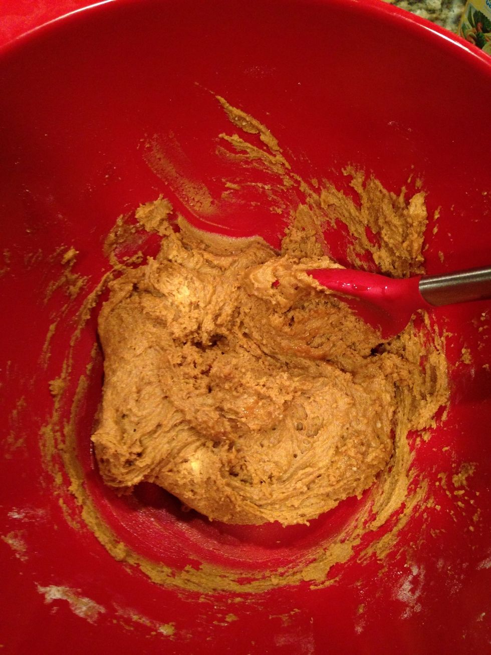 Slowly add your wet ingredients to your dry bowl and mix until combined.