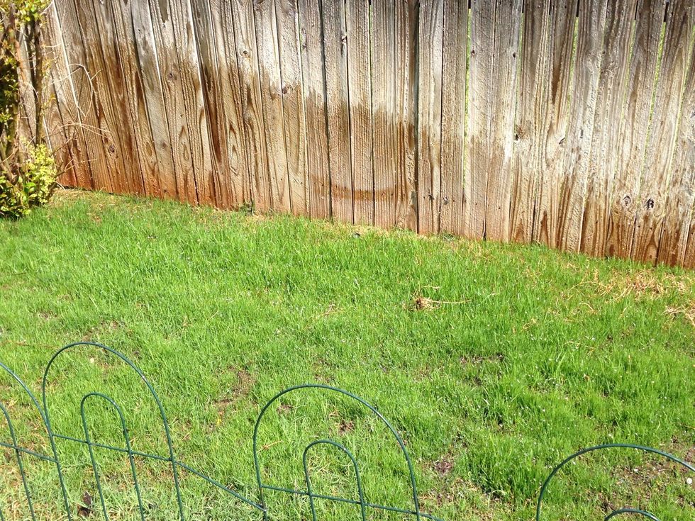 Slowly it starts to fill in, just don't give up.