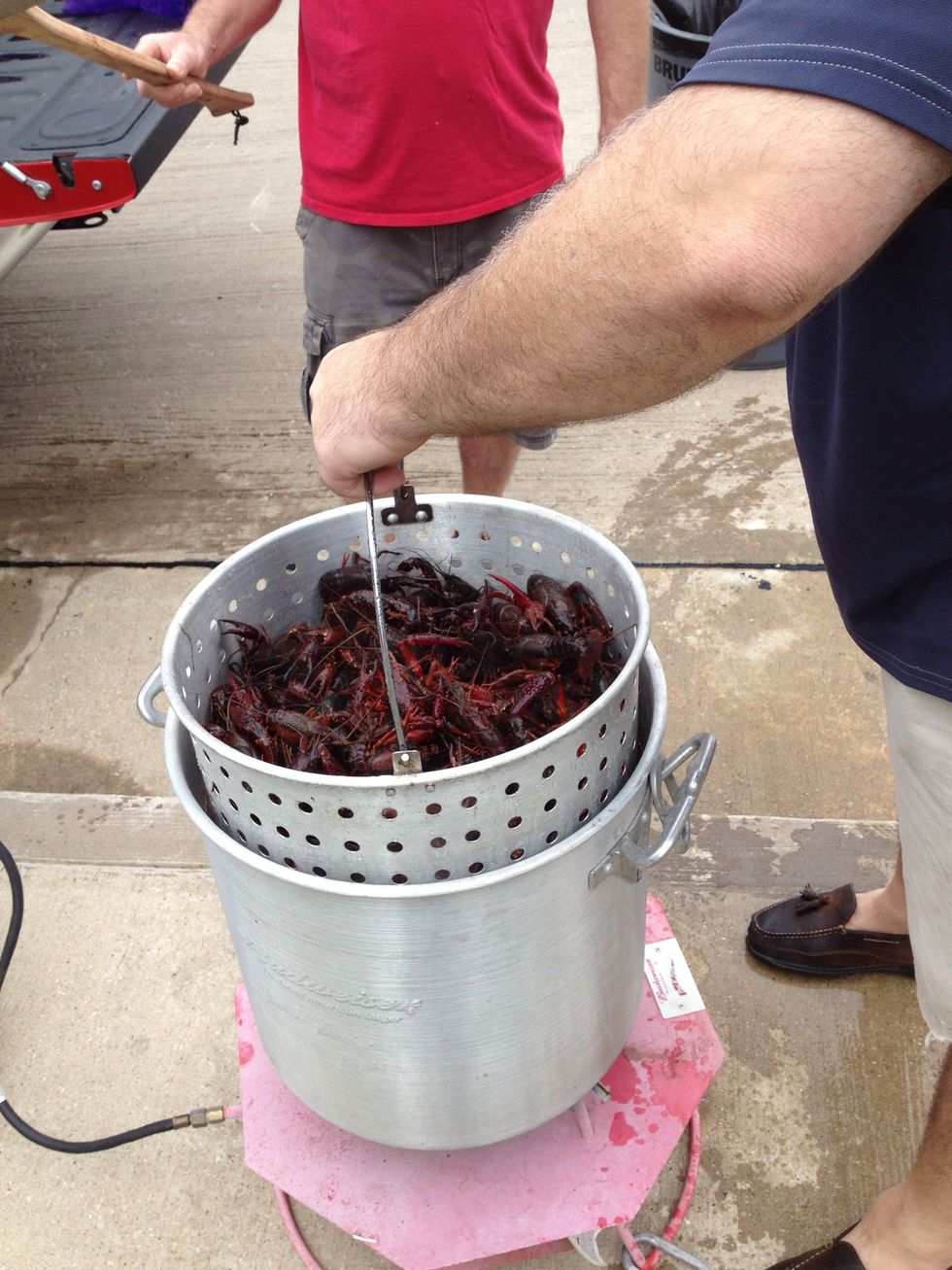 Slowly... Very slowly lower the crawfish into the pot.