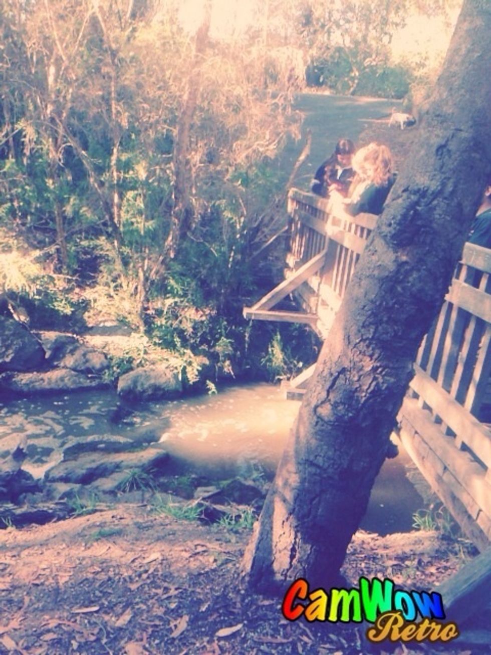 Small bridge