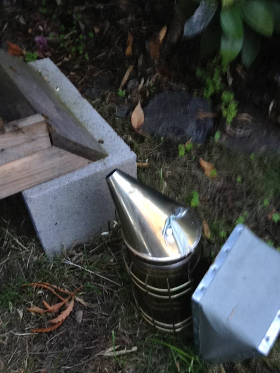 Smoke the bees from the bottom and the top of the hive, as you would for a normal inspection.