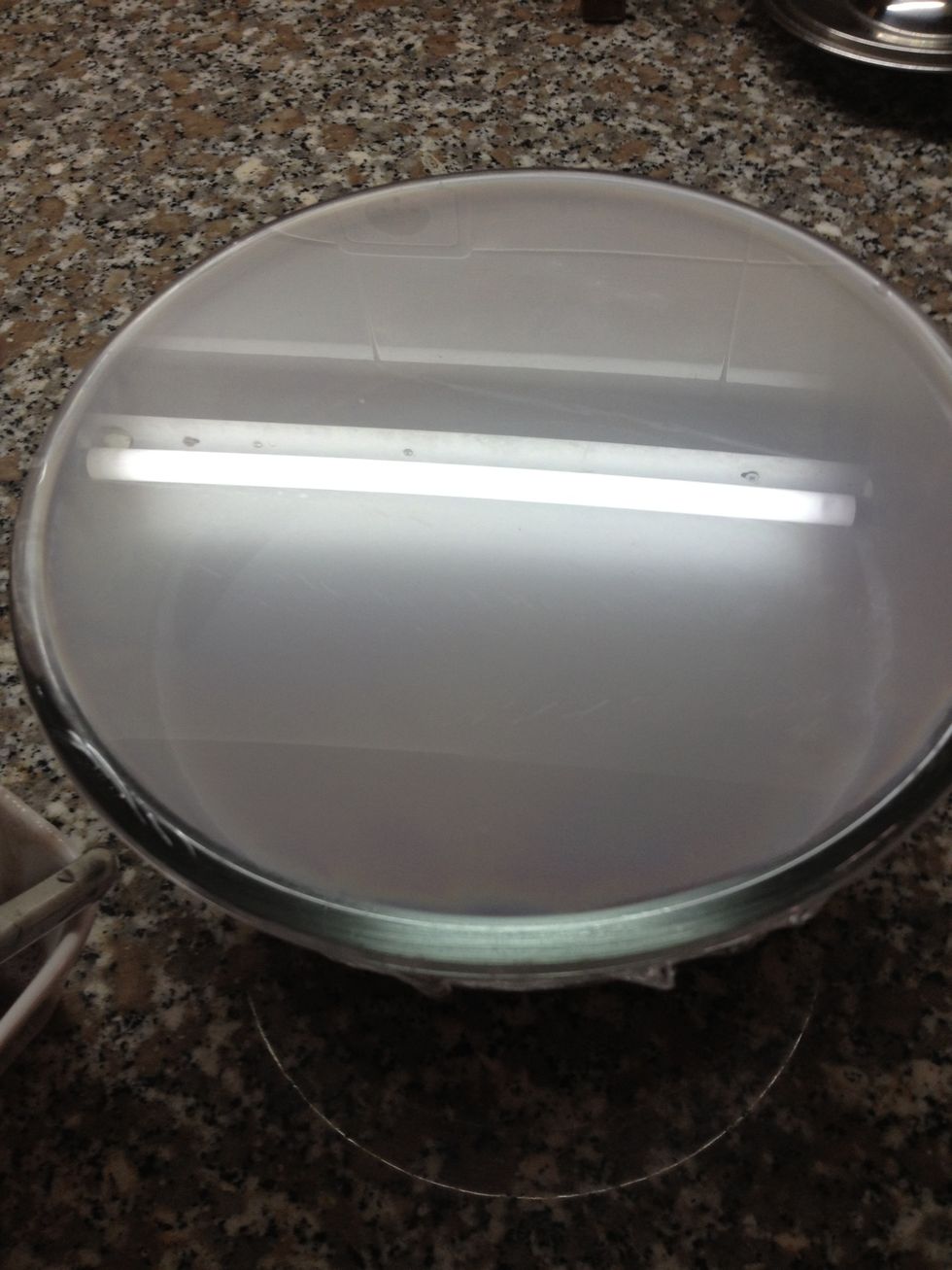 Smooth surface. I covered the bowl with plastic wrap and then into the fridge for 2-4 days