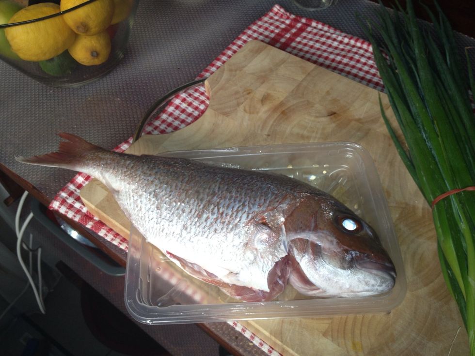 snapper, scaled and gutted