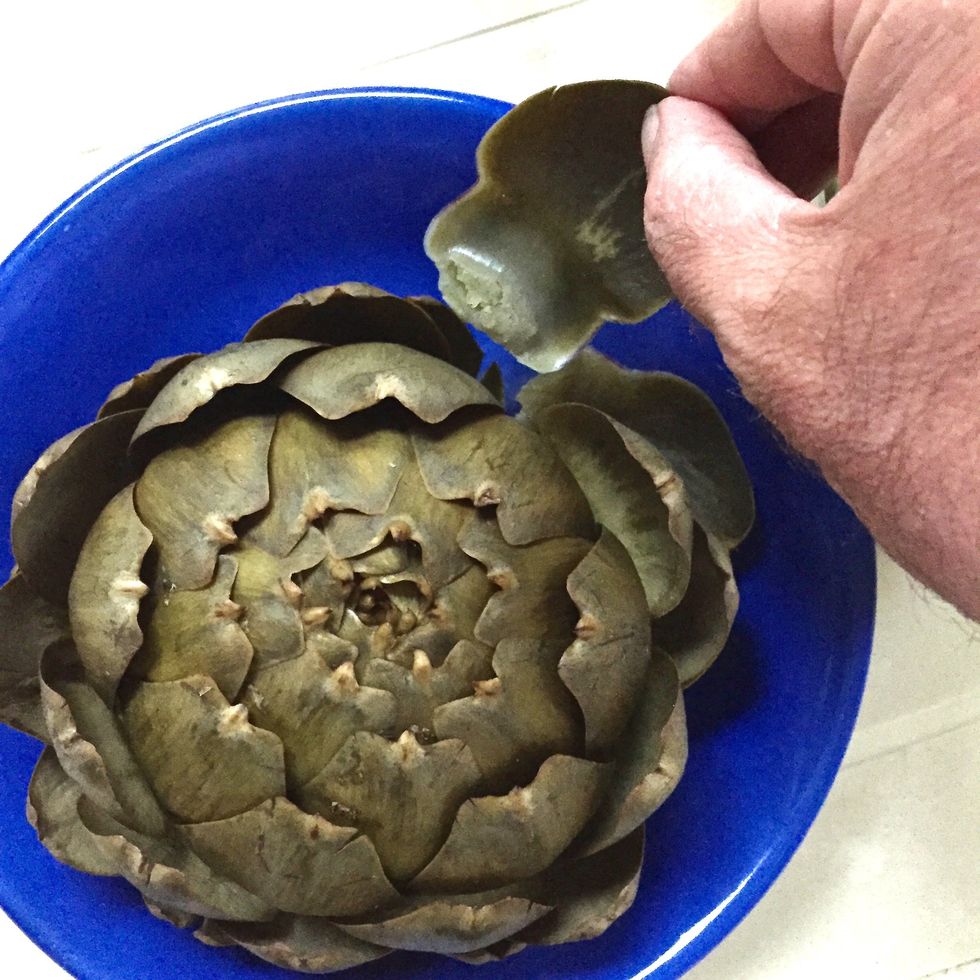 How to eat artichokes B+C Guides