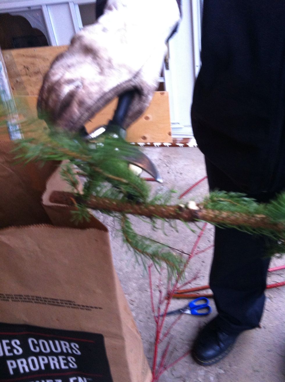 Snip small branches off the bottom so you can dig it into the sand or soil easier.