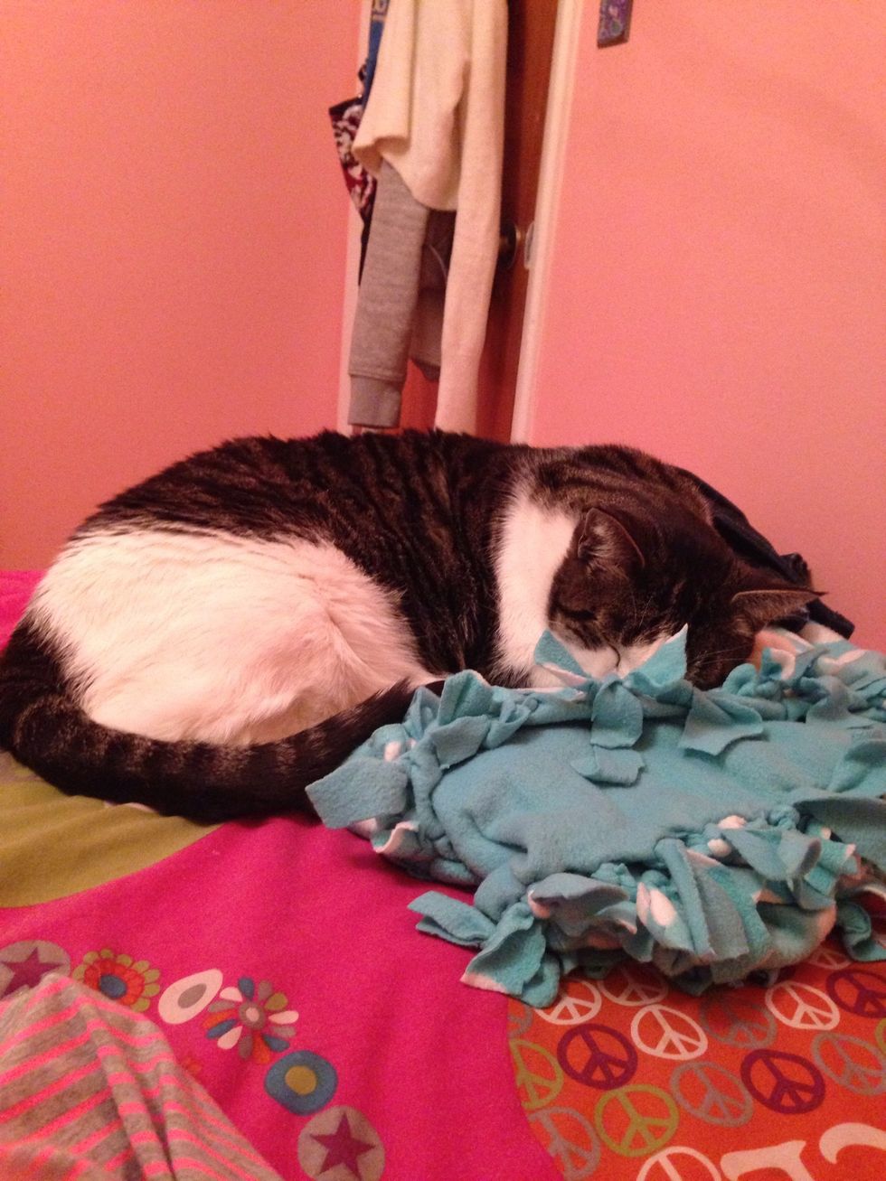 So Cute\ud83d\ude0d\ud83d\ude0d