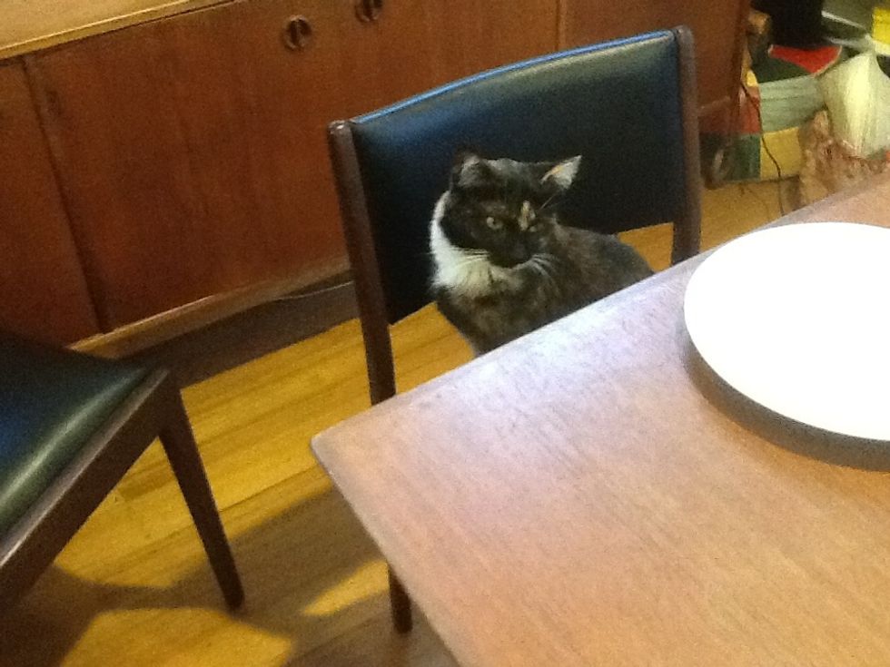 So good the cat wanted some.