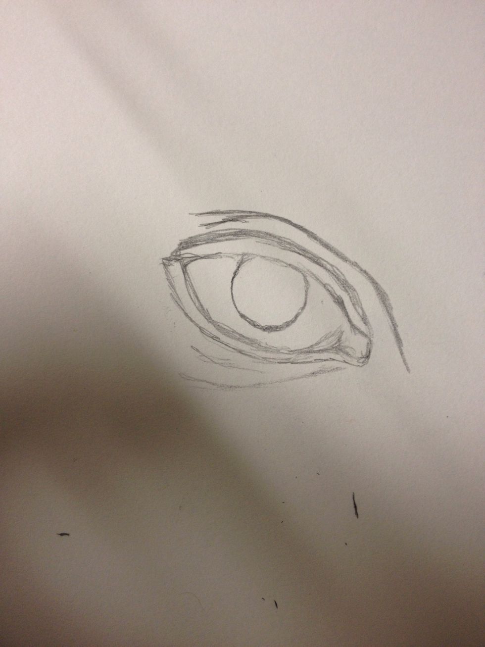 So I forgot to take a picture of the start but it's pretty easy. Make a lemon shaped eye and draw a few crease as an eyelid as shown above.