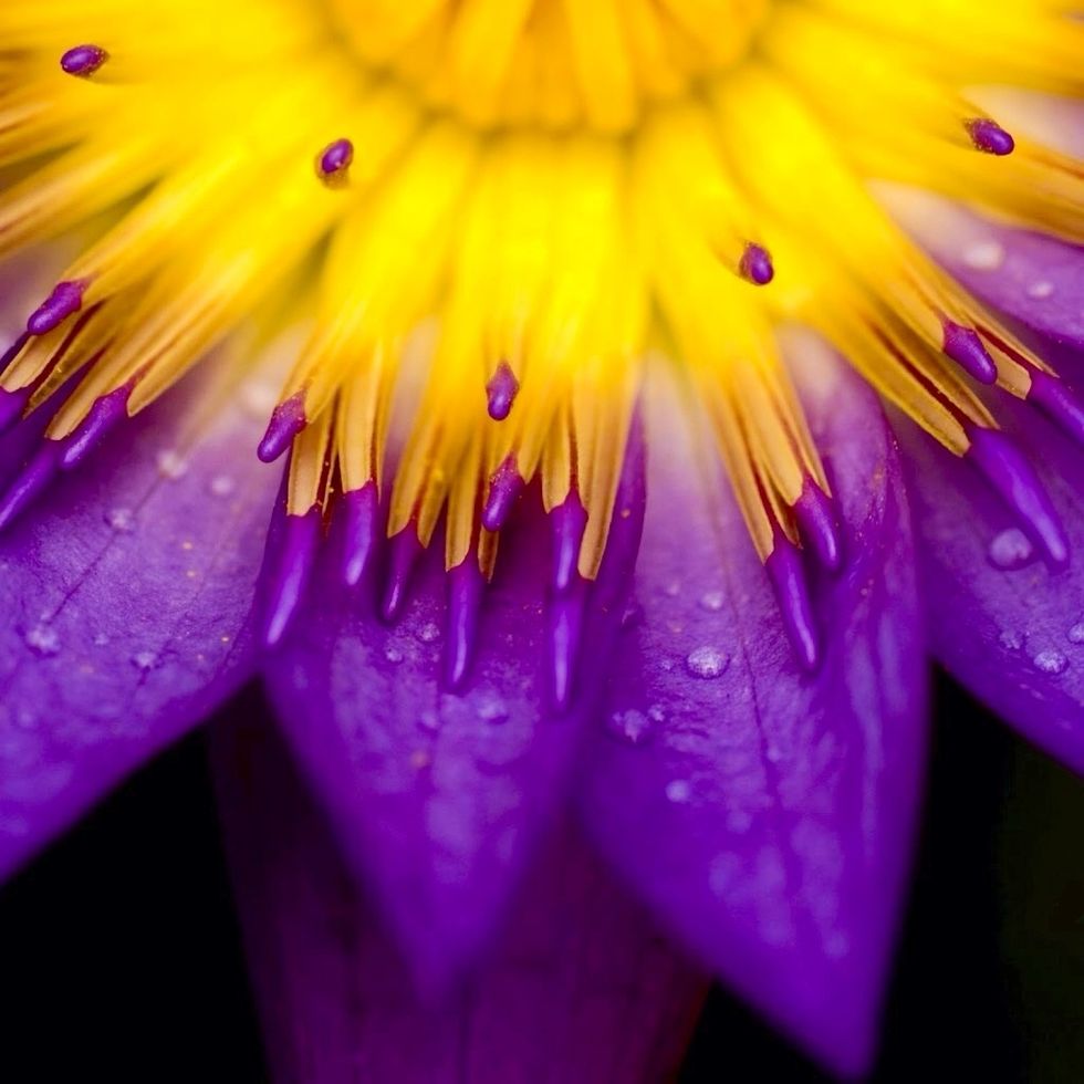 So I forgot to take photos of the first step....oops! So pick out a pair of jeans that fits you around the hips and thighs. It doesn't matter if they don't fit length wise:)