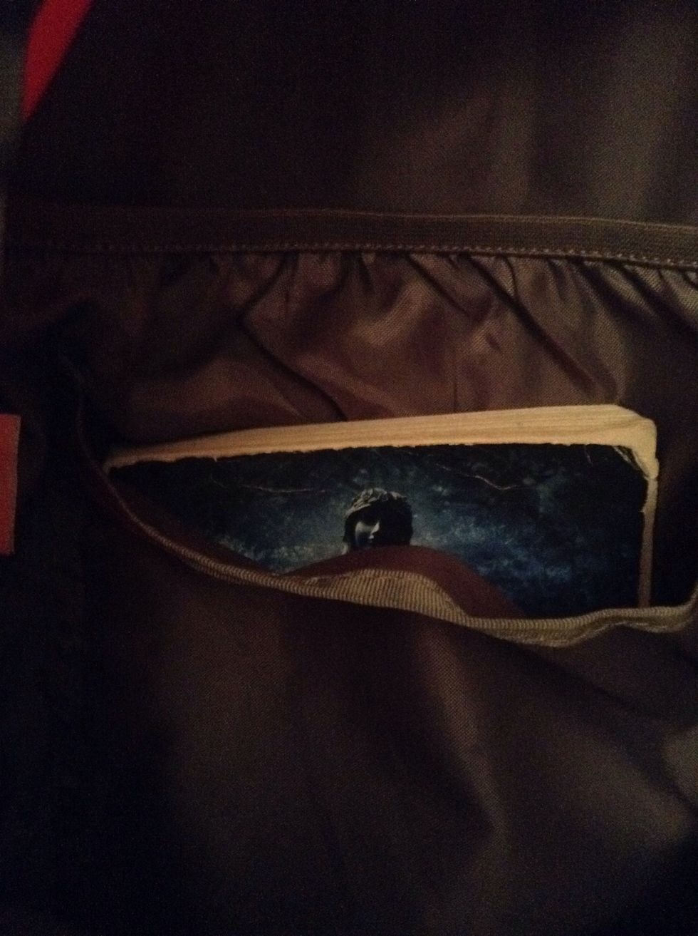 ...so I put it in a medium size pocket in the larger portion