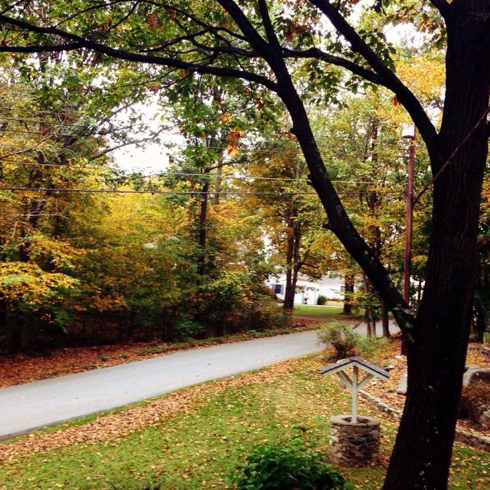 So... It looks like this outside and one thought crosses through your head... "It's stew, chili and warm yummy stuff season!!" ( if you said football, foliage, or apple picking season you are wrong..)