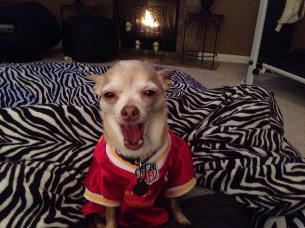 So, just move the decimal one position to the right and that's the snowfall.  Easy enough!