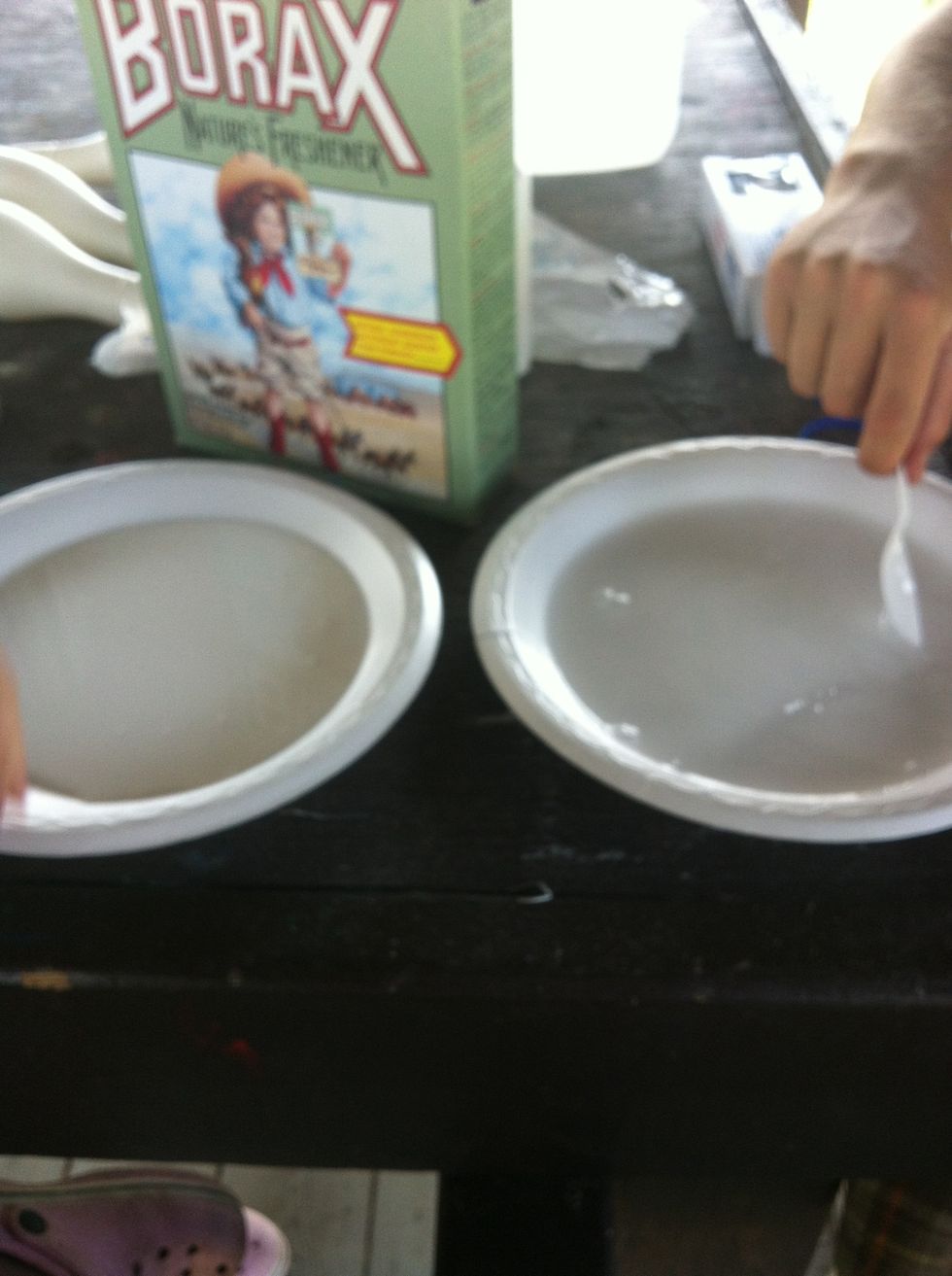 So now you will have two plates. One with the glue, and the other with the borax and water.