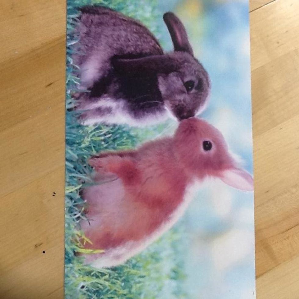 So this is my image, however I did not do the second bunny. I replaced it with a flower.