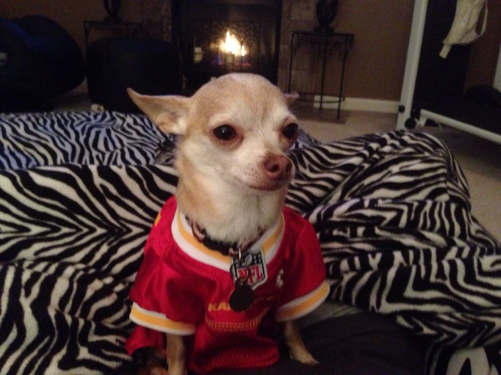 So, when you see a precipitation forecast of .5 inches, this could mean 5 inches of snow.