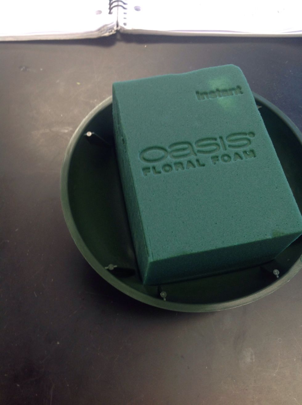 Soak oasis and press into a standard dish with your palm