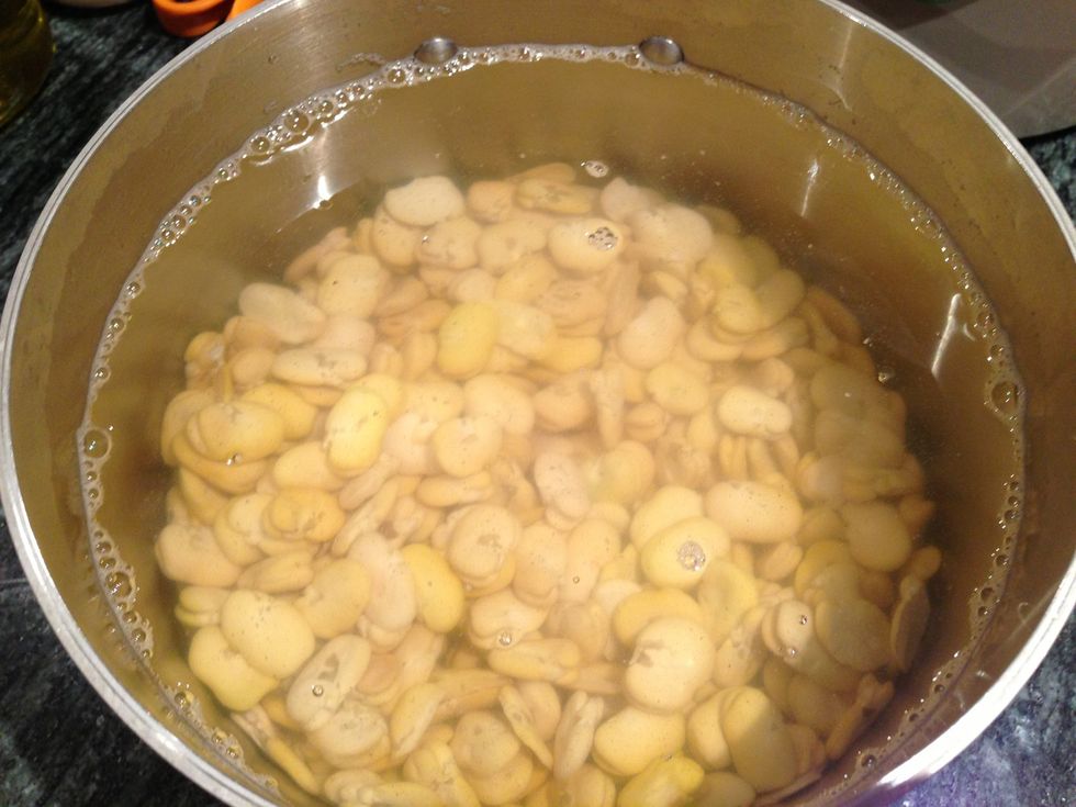 Soak your Fava beans overnight in cold water making sure the water is covering the beans by at least 1.5 to 2 inches.