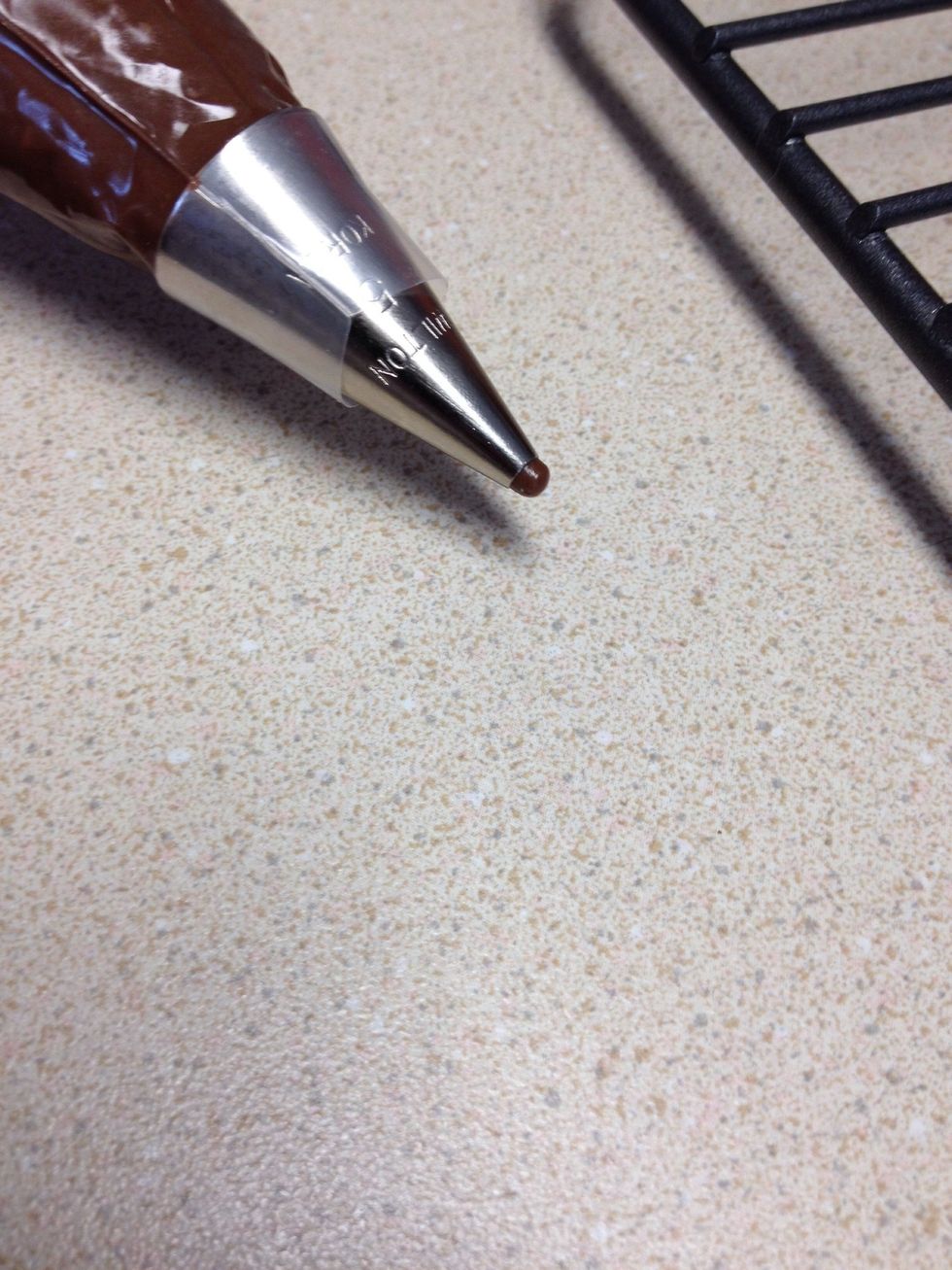 Soften Nutella in the microwave for about 10 seconds and then put the Nutella into a piping bag with a number one or two decorating tip