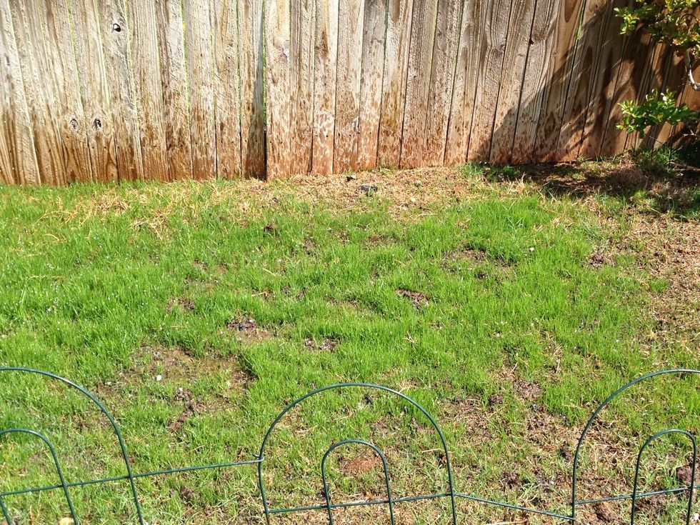 Some areas fill in where others take a bit longer. Just keep at it!