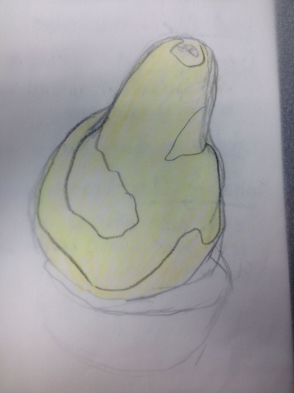 Some areas of the pear are more yellow green than others. I am adding this color to the large outlined areas