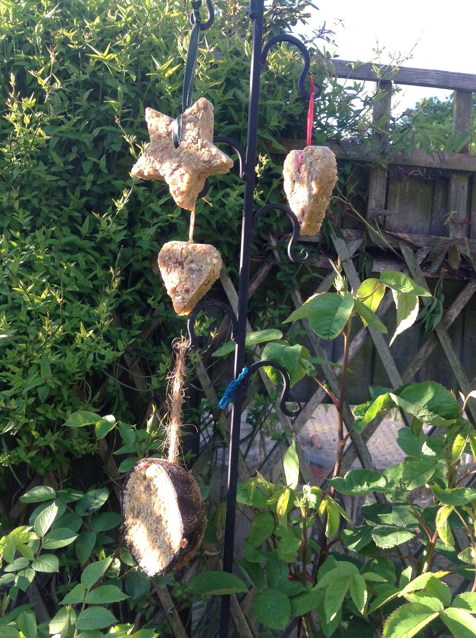 Some birds will perch on the fat ball, but most prefer a perch.