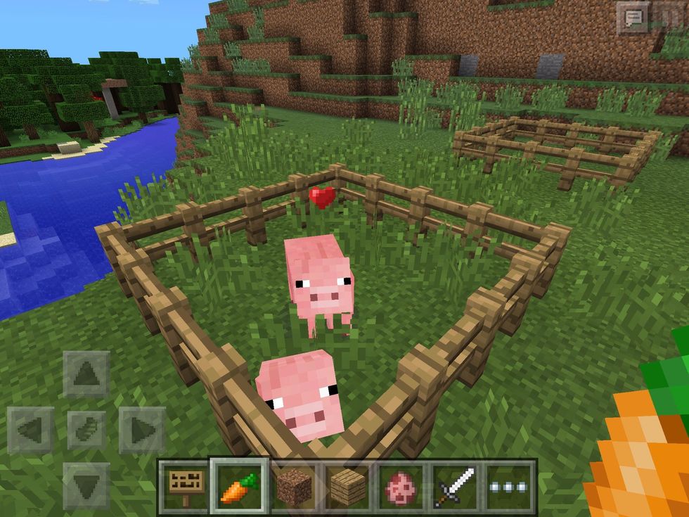Some happy Pigs! These mobs like carrots and will follow you if you have some. They also need carrots to breed, so start growing them!