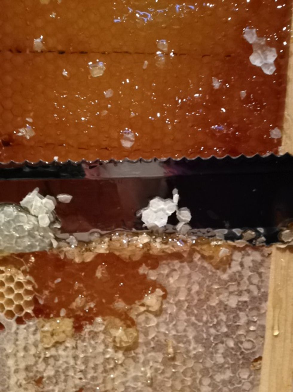 Some honey will drip into the extracting tank or bucket. A tank will separate the honey from the wax, which can be drained via the valve. If using a bucket, drop the entire contents through a strainer