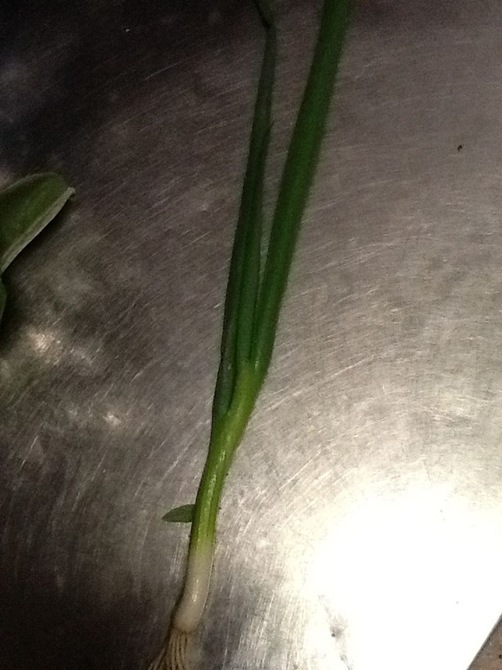 Some spring onion