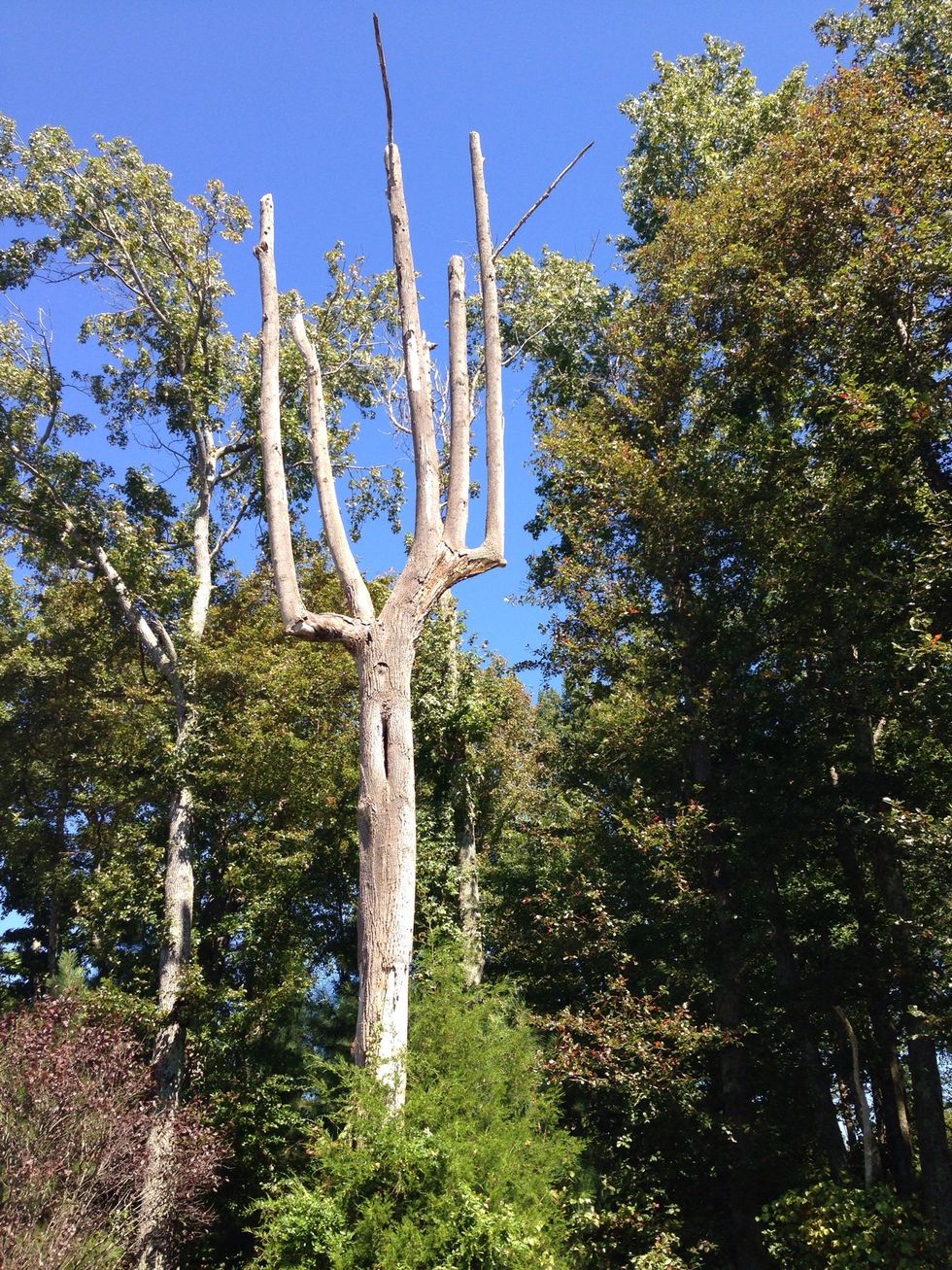 Sometimes there comes a fork in your life, where you must decide!! Decide to live, love, and have fun? Think of a decision you must make then do it!