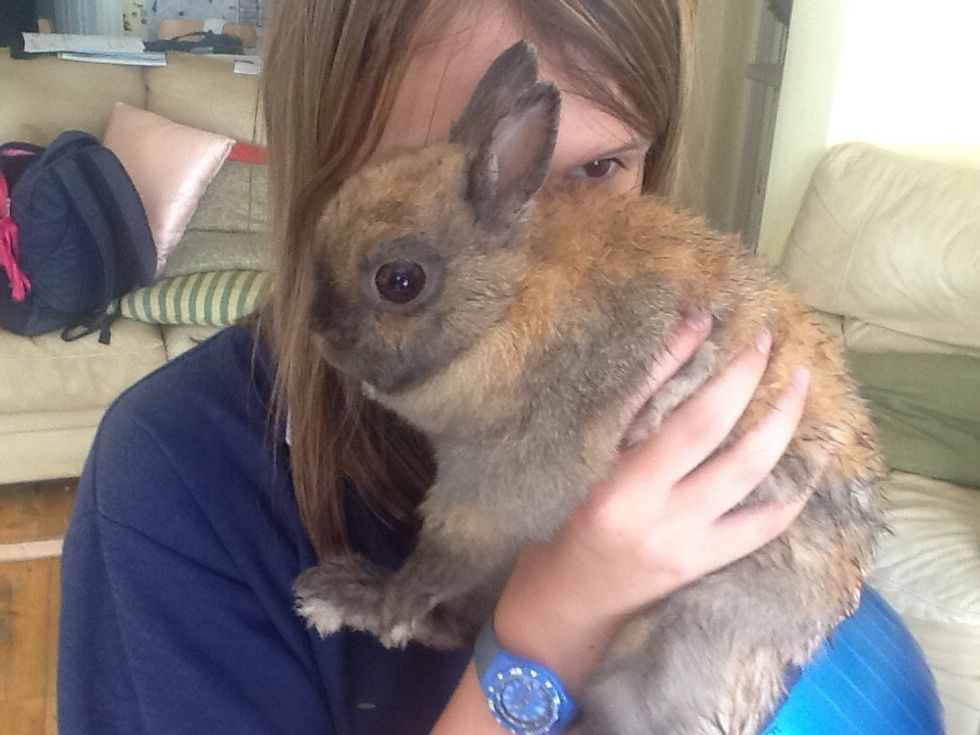 Sooty just ran through the sprinkler :)