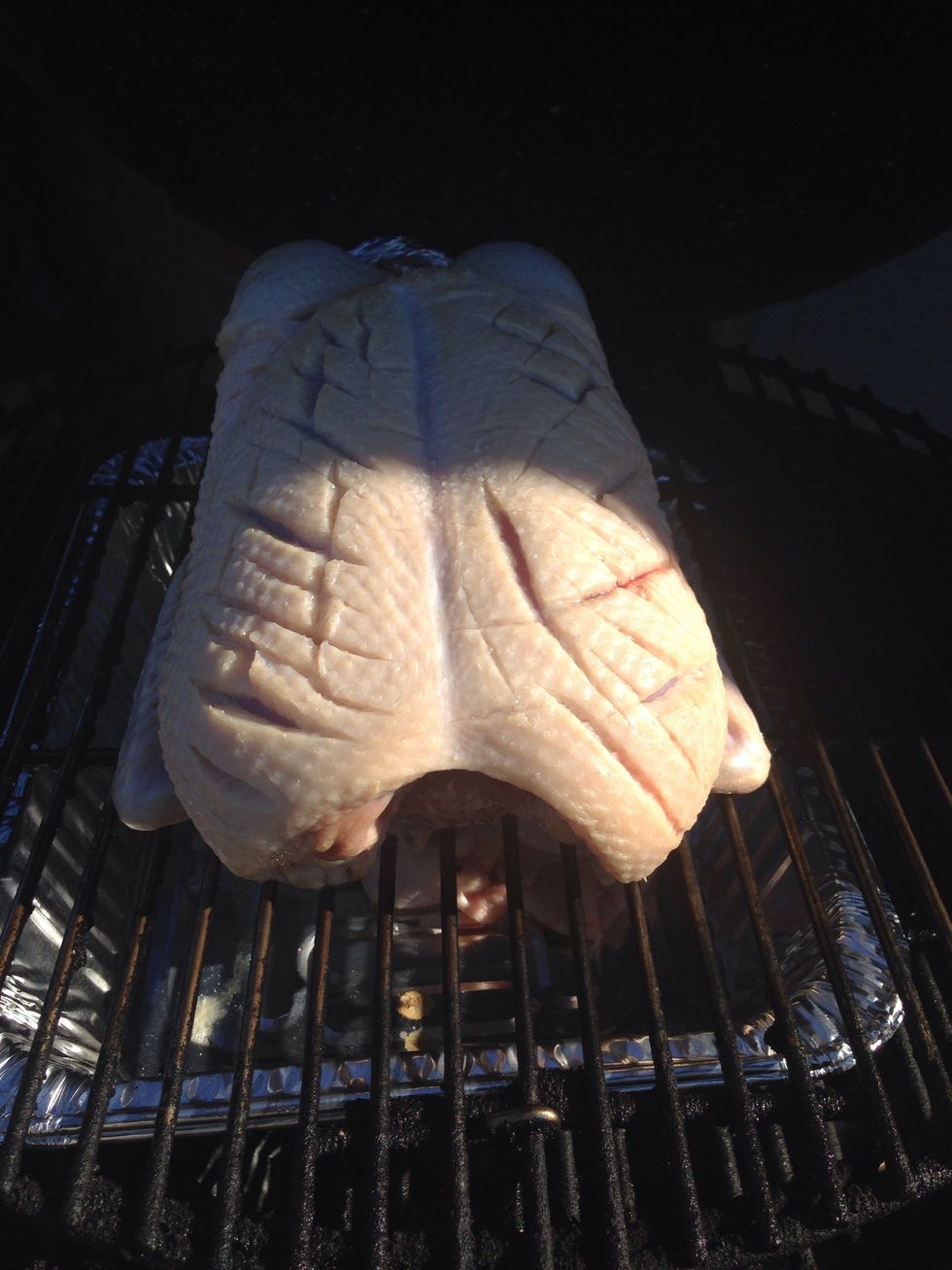 Sorry for the shadow. I've put 2 (stacked) tin foil trays to catch the rendered fat for later goodness. Also put trimmed excess fat in tray.